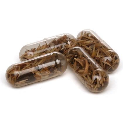 Seed Pills Match Box (25734)