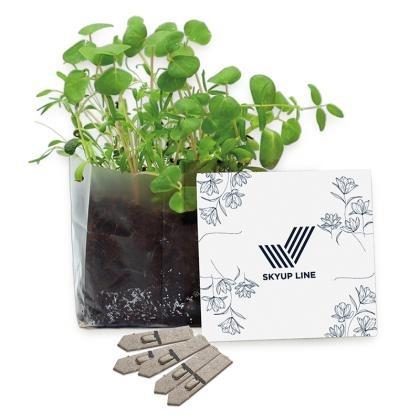 Letterbox Garden (25720)