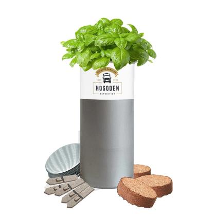 Desktop Tube Garden (26040)