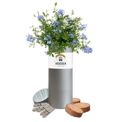 Desktop Tube Garden (26040)