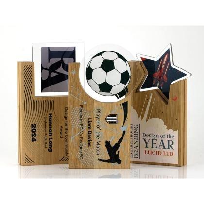 NEW Wood Layered Award (25740)