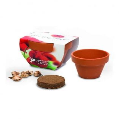 10cm Terracotta Maxi Pot