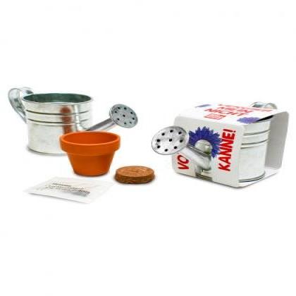 Zinc Watering Can