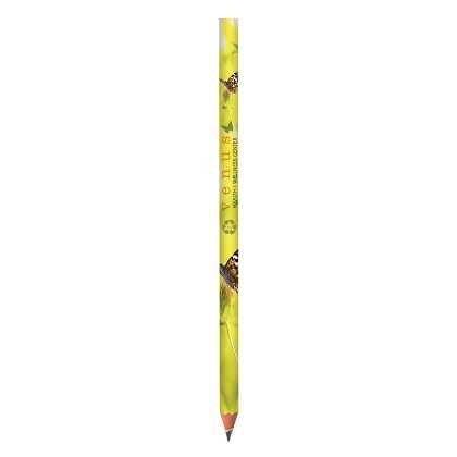 BIC Evolution Ecolutions Digital pencil  (24166)