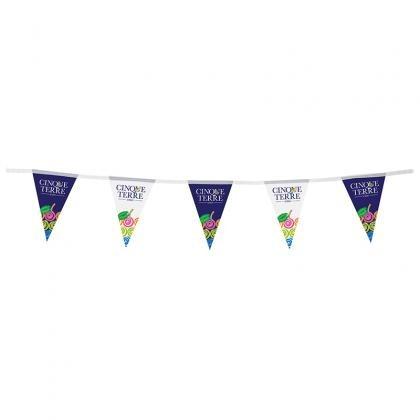 Outdoor Bunting   (24808)