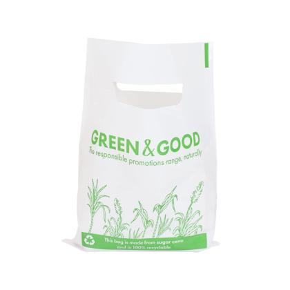 NEW Green & Good Sugar Cane Mini Gift Bag - Recyclable