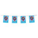 Outdoor Bunting  (25814)