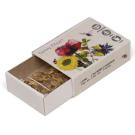 Seed Pills Match Box (25734)