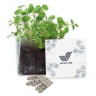 Letterbox Garden (25720)