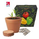 Recycled Pot Gardens (26044)