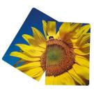 ECOlour A5 Full Colour Flexi Notebook   (24200)