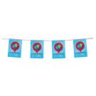 Outdoor Bunting   (24808)
