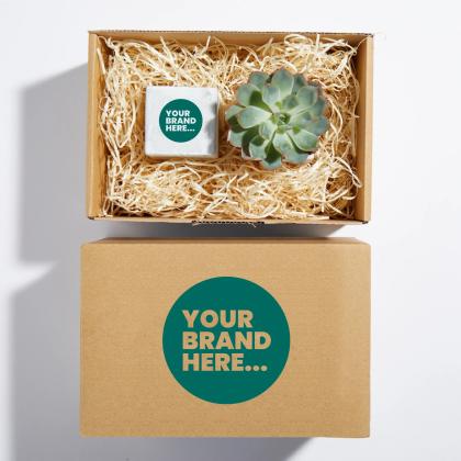 Plant And Candle Hamper 6cm Concrete