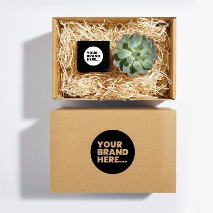 Plant And Candle Hamper 6cm Aluminium