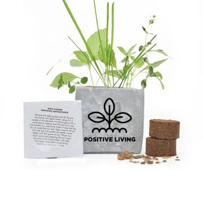 Grow Kit 6cm Concrete Pot - Marble