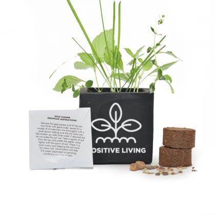 Grow Kit 6cm Concrete Pot - Black