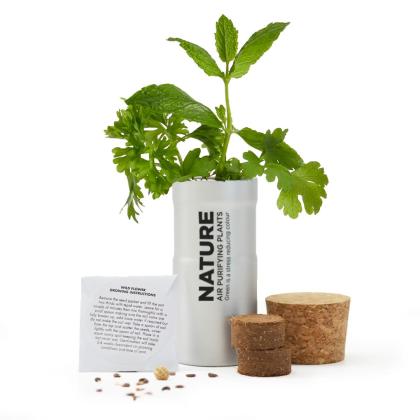 Desktop Garden - Silver