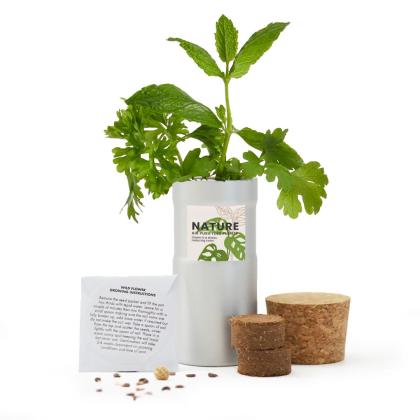 Desktop Garden - Silver