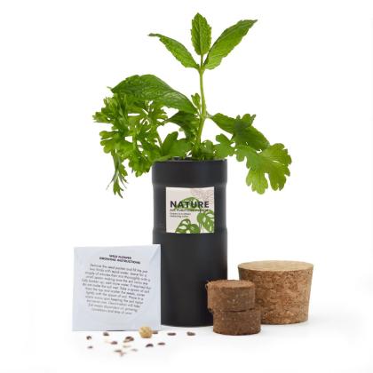 Desktop Garden - Black