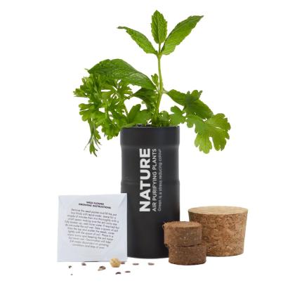 Desktop Garden - Black