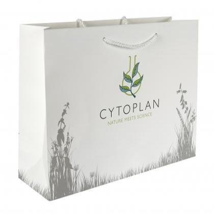 Large Laminate Rope Handle Bags