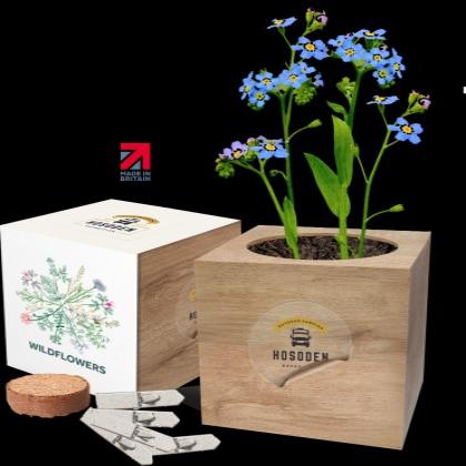 Essential Desktop Cube Gardens