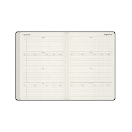 Collins Legacy - Daily Lifestyle Planner - A4 Day-to-Page Diary with Appointments