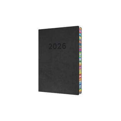 Collins Edge Rainbow - Daily Lifestyle Planner - Day-to-Page Diary with Appointments