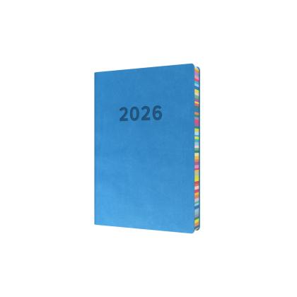 Collins Edge Rainbow - Daily Lifestyle Planner - Day-to-Page Diary with Appointments