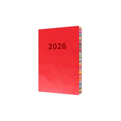 Collins Edge Rainbow - Daily Lifestyle Planner - Day-to-Page Diary with Appointments