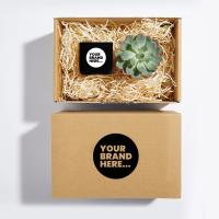 Plant And Candle Hamper 6cm Aluminium