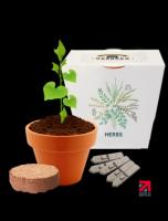 Clay Pot Gardens
