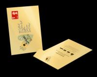 Large Seed Packet Envelopes - Gloss