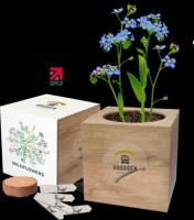 Express Desktop Cube Gardens