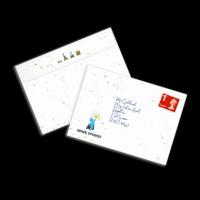 Seeded Paper Envelopes EA5