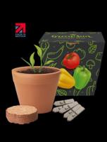 Recycled Pot Gardens