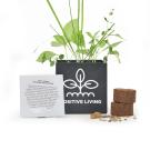 Grow Kit 6cm Aluminium Pot - Black