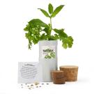 Desktop Garden - Silver