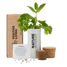 Desktop Garden In Printed Box - Silver