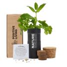 Desktop Garden In Printed Box - Black