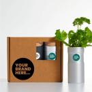 Desktop Garden Box Of Three - Black