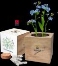Essential Desktop Cube Gardens