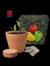Recycled Pot Gardens