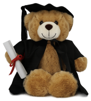 Graduation Bears