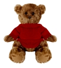 Jumper Bears