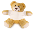 Budget Bear