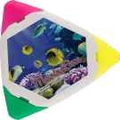 Trident Highlighter (Ultra HD Print)