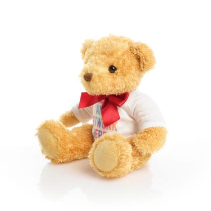 Printed 18cm William bear with red ribbon