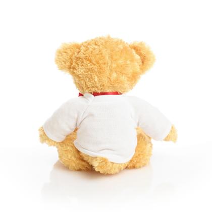 Printed 18cm William bear with red ribbon
