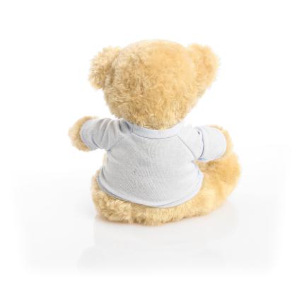 Printed 19cm Victoria bear - Baby Blue t-shirt